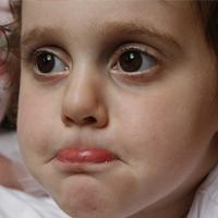 课程管理平台的轰炸免费软件